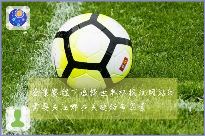 密集赛程下选择世界杯投注网站时需要关注哪些关键赔率因素
