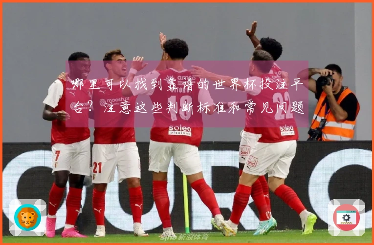 哪里可以找到靠谱的世界杯投注平台？注意这些判断标准和常见问题