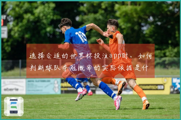 选择合适的世界杯投注app时，如何判断球队夺冠概率的实际依据是什么？