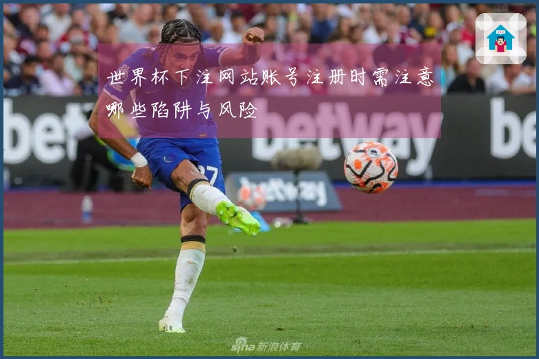 世界杯下注网站账号注册时需注意哪些陷阱与风险