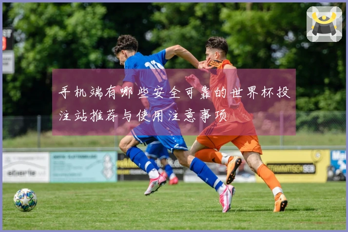手机端有哪些安全可靠的世界杯投注站推荐与使用注意事项