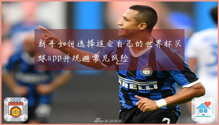 新手如何选择适合自己的世界杯买球app并规避常见风险