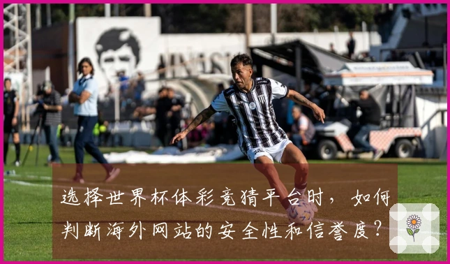 选择世界杯体彩竞猜平台时，如何判断海外网站的安全性和信誉度？