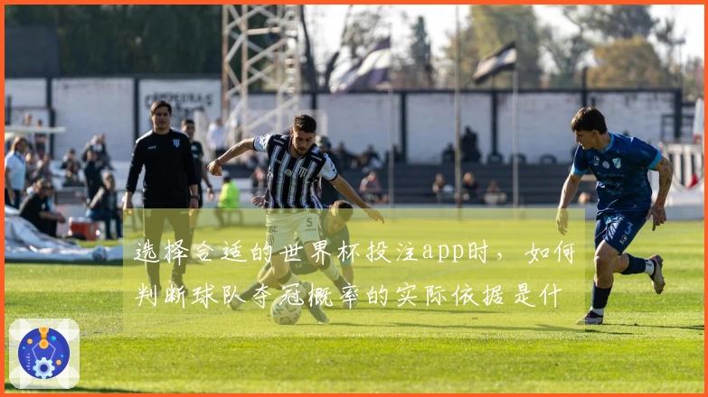 选择合适的世界杯投注app时，如何判断球队夺冠概率的实际依据是什么？